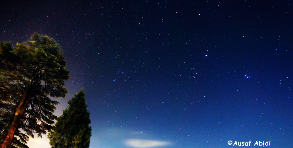Starry-starry-nights-photo